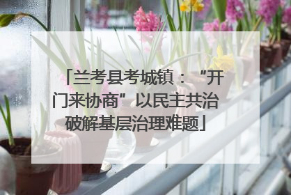 兰考县考城镇：“开门来协商”以民主共治破解基层治理难题
