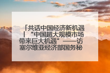 共话中国经济新机遇丨“中国超大规模市场带来巨大机遇”——访塞尔维亚经济部国务秘书尼科利奇
