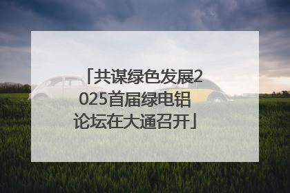 共谋绿色发展2025首届绿电铝论坛在大通召开