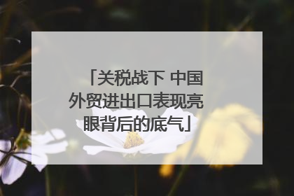 关税战下 中国外贸进出口表现亮眼背后的底气