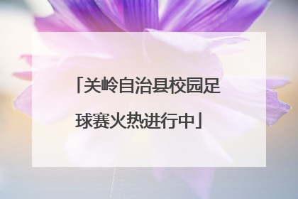 关岭自治县校园足球赛火热进行中