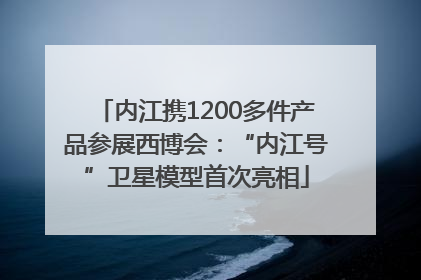 内江携1200多件产品参展西博会：“内江号”卫星模型首次亮相
