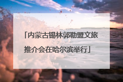 内蒙古锡林郭勒盟文旅推介会在哈尔滨举行