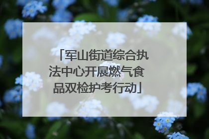 军山街道综合执法中心开展燃气食品双检护考行动