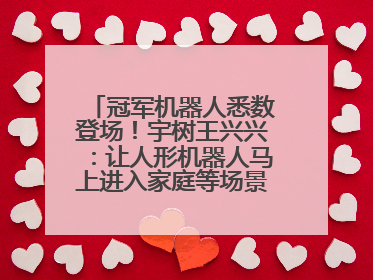 冠军机器人悉数登场！宇树王兴兴：让人形机器人马上进入家庭等场景并不现实