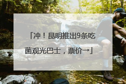 冲！昆明推出9条吃菌观光巴士，票价→