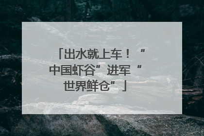 出水就上车！“中国虾谷”进军“世界鲜仓”