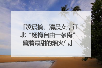 凌晨摘、清晨卖，江北“杨梅自由一条街”藏着最甜的烟火气