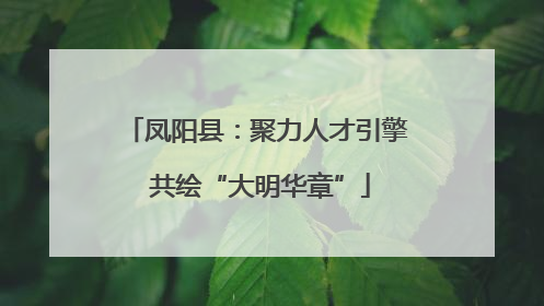 凤阳县：聚力人才引擎 共绘“大明华章”