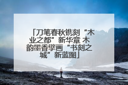 刀笔春秋镌刻“木业之都”新华章 木韵墨香擘画“书刻之城”新蓝图