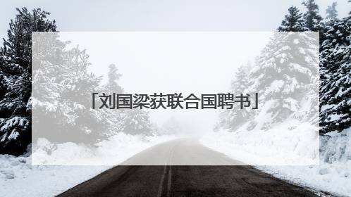 刘国梁获联合国聘书