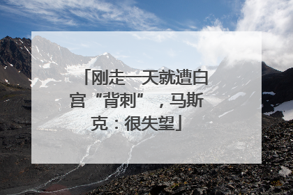 刚走一天就遭白宫“背刺”，马斯克：很失望