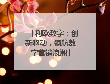 利欧数字：创新驱动，领航数字营销浪潮