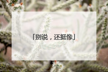 别说，还挺像