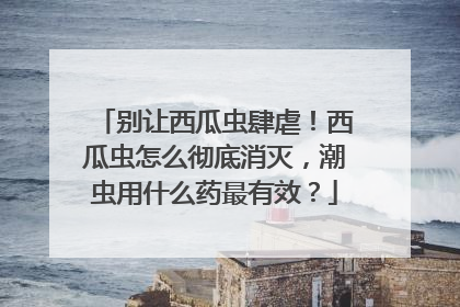 别让西瓜虫肆虐！西瓜虫怎么彻底消灭，潮虫用什么药最有效？