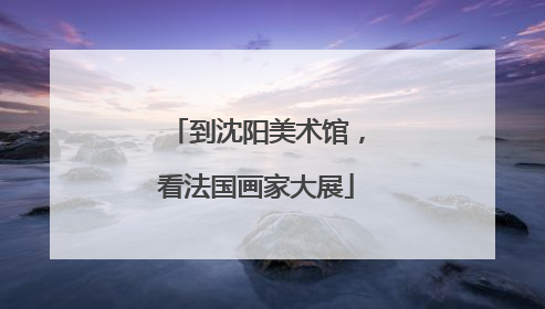 到沈阳美术馆，看法国画家大展