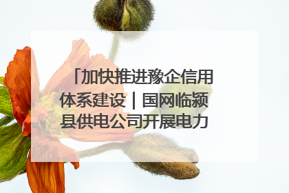 加快推进豫企信用体系建设｜国网临颍县供电公司开展电力行业信用企业现场咨询访谈工作