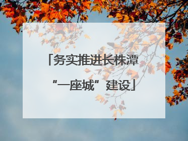 务实推进长株潭“一座城”建设