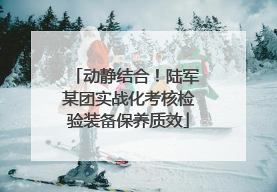 动静结合！陆军某团实战化考核检验装备保养质效