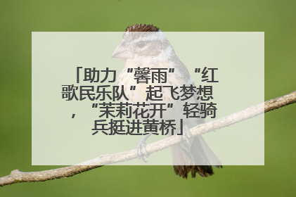 助力“馨雨”“红歌民乐队”起飞梦想，“茉莉花开”轻骑兵挺进黄桥
