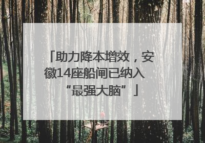 助力降本增效，安徽14座船闸已纳入“最强大脑”