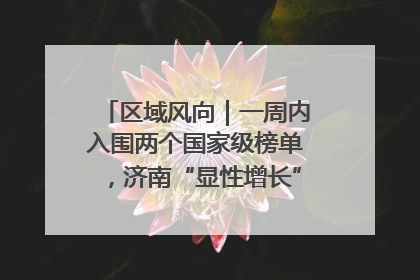 区域风向｜一周内入围两个国家级榜单，济南“显性增长”刷新城市影响力