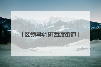 区领导调研西渡街道