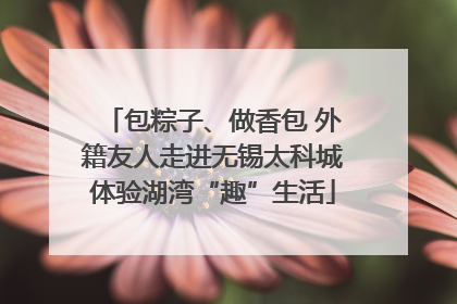 包粽子、做香包 外籍友人走进无锡太科城体验湖湾“趣”生活