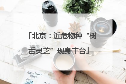 北京：近危物种“树舌灵芝”现身丰台