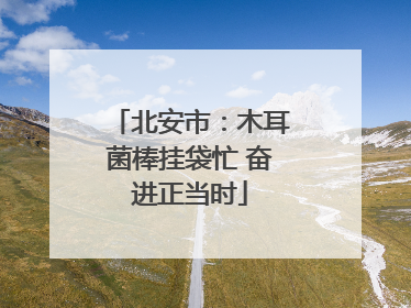 北安市：木耳菌棒挂袋忙 奋进正当时