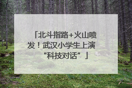 北斗指路+火山喷发！武汉小学生上演“科技对话”