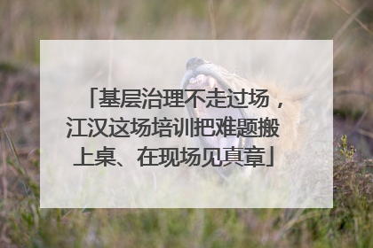 基层治理不走过场，江汉这场培训把难题搬上桌、在现场见真章