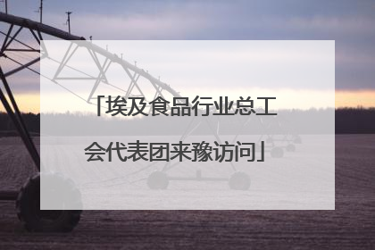 埃及食品行业总工会代表团来豫访问