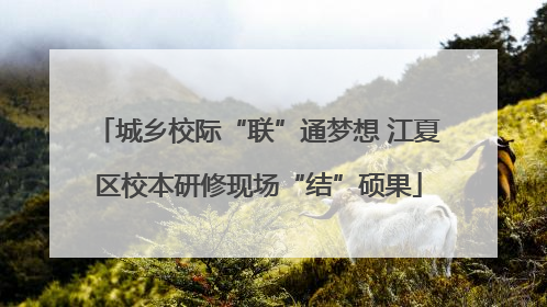 城乡校际“联”通梦想 江夏区校本研修现场“结”硕果