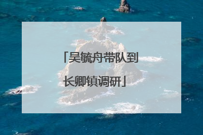 吴毓舟带队到长卿镇调研