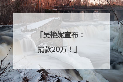 吴艳妮宣布：捐款20万！