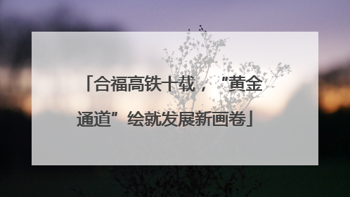 合福高铁十载，“黄金通道”绘就发展新画卷