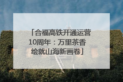 合福高铁开通运营10周年：万里茶香绘就山海新画卷