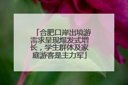 合肥口岸出境游需求呈现爆发式增长，学生群体及家庭游客是主力军