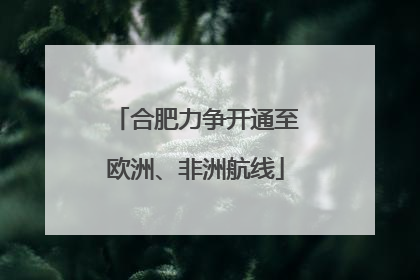 合肥力争开通至欧洲、非洲航线