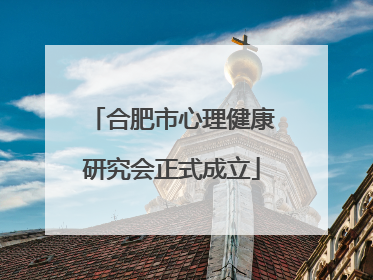 合肥市心理健康研究会正式成立