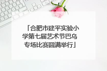 合肥市建平实验小学第七届艺术节巴乌专场比赛圆满举行