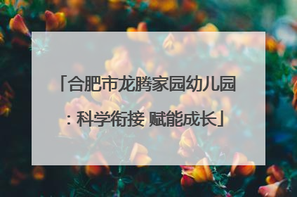 合肥市龙腾家园幼儿园：科学衔接 赋能成长