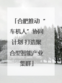 合肥推动“车机人”协同计划 打造聚合型智能产业集群