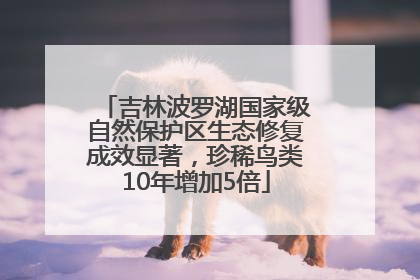 吉林波罗湖国家级自然保护区生态修复成效显著，珍稀鸟类10年增加5倍