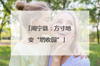 周宁县：方寸地变“增收园”