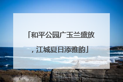 和平公园广玉兰盛放，江城夏日添雅韵