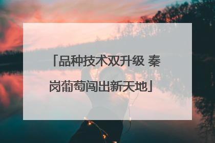 品种技术双升级 秦岗葡萄闯出新天地