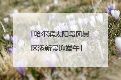哈尔滨太阳岛风景区添新景迎端午