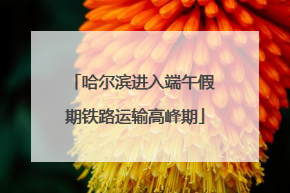 哈尔滨进入端午假期铁路运输高峰期